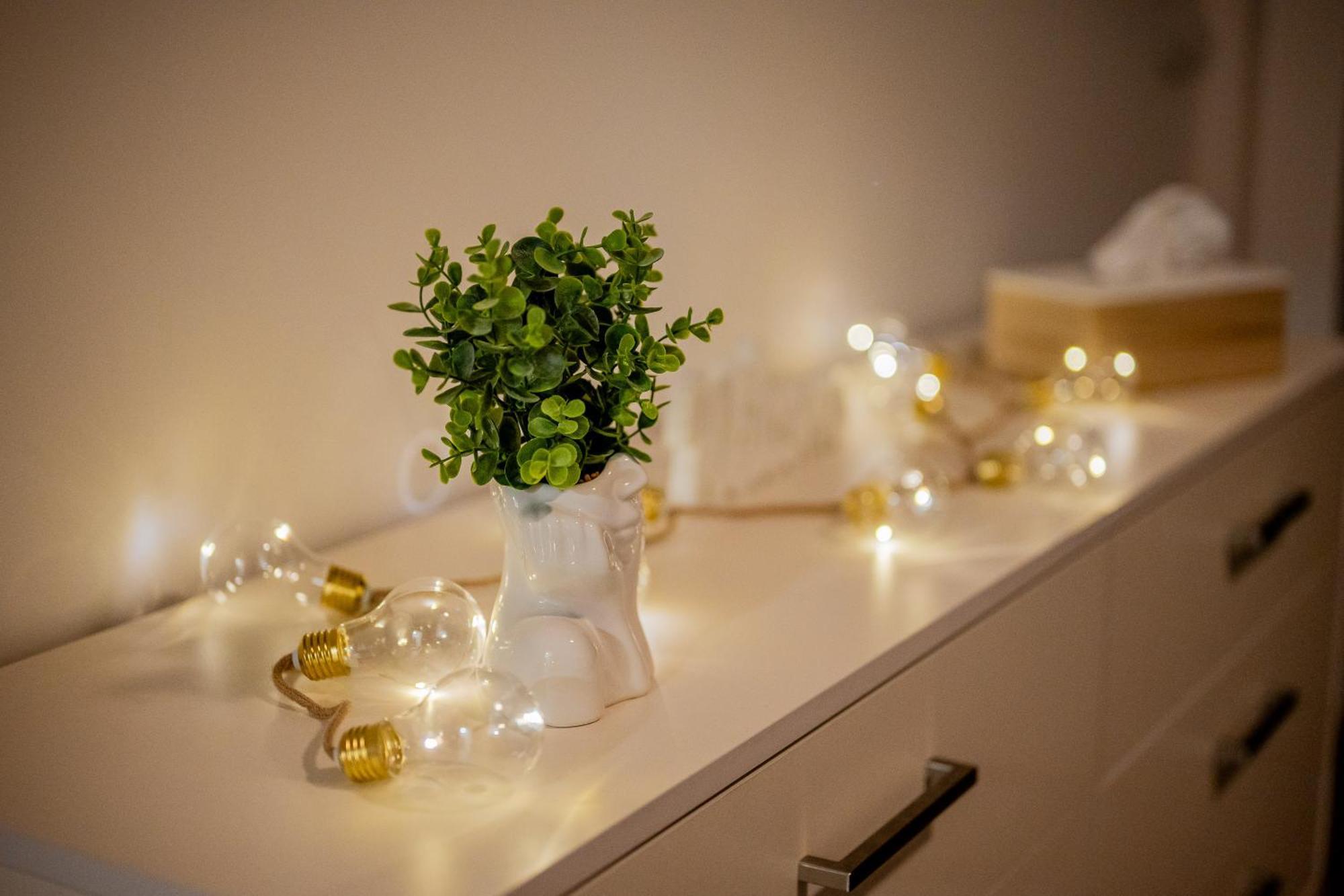 קושיצה Old Town City Center Apartment 1 - Private Parking Included מראה חיצוני תמונה